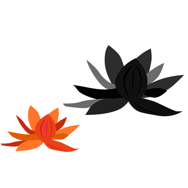 �x�W����